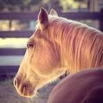 Leigh Bittner - @leighbittner - Instagram