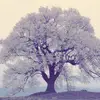 Theminigoldhypehouse - @mileighbowling236 - TikTok