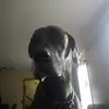 Leigh Bryant - @leigh.bryant - TikTok