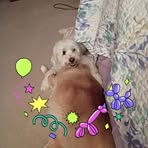 Leigh Carson - Facebook