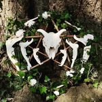 James Carver & Robyn Leigh - @carver_leigh_creations - Instagram