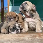 Crystal Leigh Cecil - Facebook