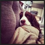 Leigh Compton - @leighcompton - Instagram
