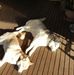 Leigh Connell - Facebook