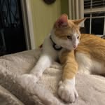 Leigh Conner - @leighconner38 - Instagram