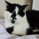 Leigh Dutton - @leigh.dutton.14 - Instagram