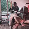 Amber Leigh Dyer - @amber.leigh.d - TikTok
