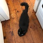 Leigh Dyer - @leigh_and_simon - Instagram