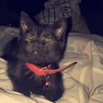 Salem_leigh - @salem_leigh - Instagram