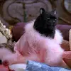Salem Leigh - @salem.leigh5 - TikTok