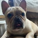 Leigh Walker - @borlandleigh - Instagram
