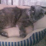Leigha Thompson - @sunnysone12 - Instagram