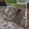 Leigh Ann Thomas Merring - @leigh.ann.thomas4 - TikTok
