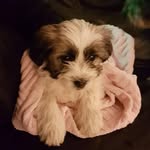 leighton fleming - @leighton_fleming07 - Instagram