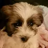 leightonfleming07 - @leightonfleming07 - TikTok