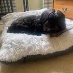 Leighton Ford - @fredsandys - Instagram