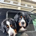 Gardner Leighton - Facebook