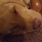 Leighton Grant - @leighton_grant - Instagram
