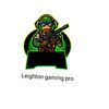Leighton Green - @faze_ya_boy - TikTok