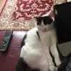 Leighton Griffiths - @leighton.griffith72 - TikTok