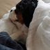 Leighton Jackson - Facebook
