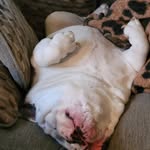 Leighton Jackson - @lurch348 - Instagram
