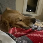 Leighton Jackson - @leightybug27 - Instagram