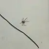 Annxleigh - @leightonlee_ - TikTok