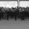 Leighton - @leighton.lloyd - TikTok