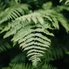 mitchellleighton9 - @mitchellleighton9 - TikTok