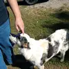 @Leighton Moore ♥️♥️♥️♥️♥️♥️♥️ - @leighton.3674tgv - TikTok