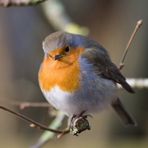 Leighton Moss - Facebook