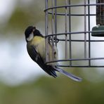 Leighton Moss Nature Reserve-Visitor Centre - Facebook