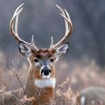 Leighton Nelson3 - Facebook