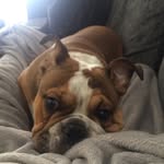 Leightonperry - @leightonperry7 - Instagram