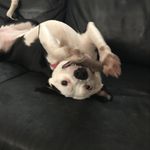 Leighton - @leightonpotter54 - Instagram
