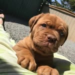 leighton - @leightonsaunders69 - Instagram