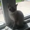 leightonschmidt - @leightonschmidt - TikTok
