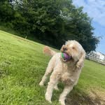 Brenda Leighton Simpson - @brenda4437 - Instagram