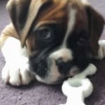 Leighton Stark - @starkleighton - Instagram