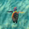 *Aesthetic_Turtles* - @leightonestarr - TikTok
