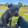 Leighton Stephens - @leighton.stephens2 - TikTok