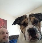 Leighton Wall - Facebook