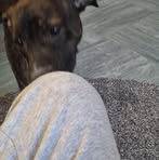 Layton Webb - Facebook