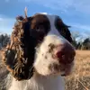 leightonwebb1 - @leightonwebb1 - TikTok