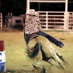 Leighton Williamson - @leigh123459876 - Instagram