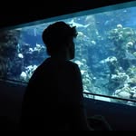 Lee - @leightonwinterss - Instagram
