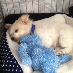 Leighton Yates - @leighton_yeets - Instagram