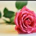 Layla Abboud - Facebook