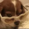 leilaabraham2 - @leilaabrahamacosta - TikTok